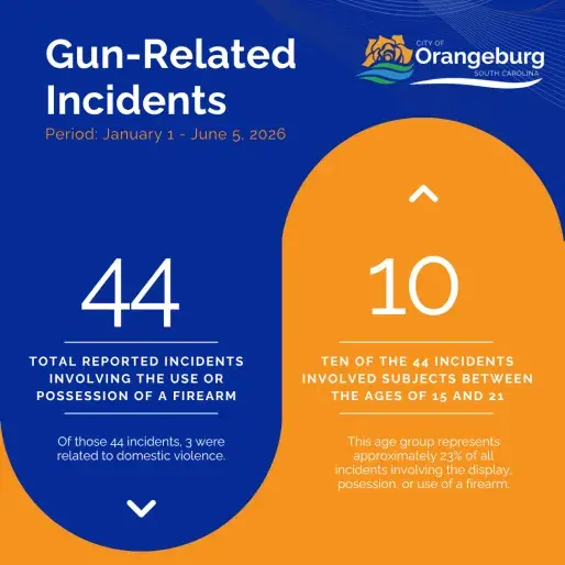 Gun Related Incidents Infographic
