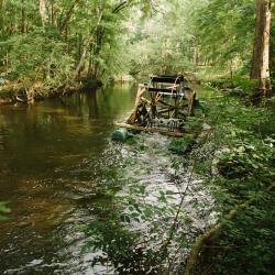 Edisto River Water Wheel