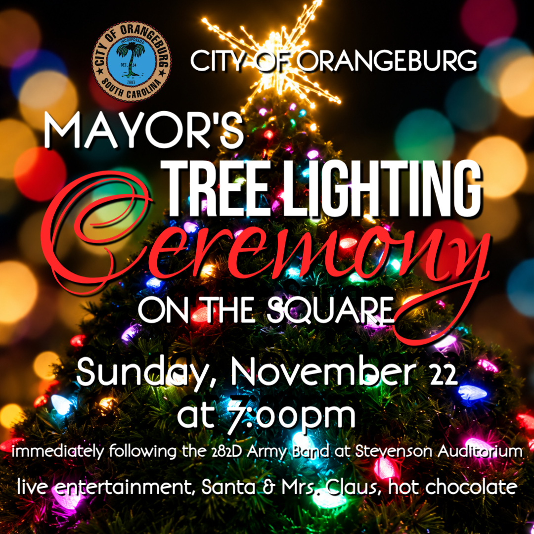 Mayor's Tree Lighting 2026