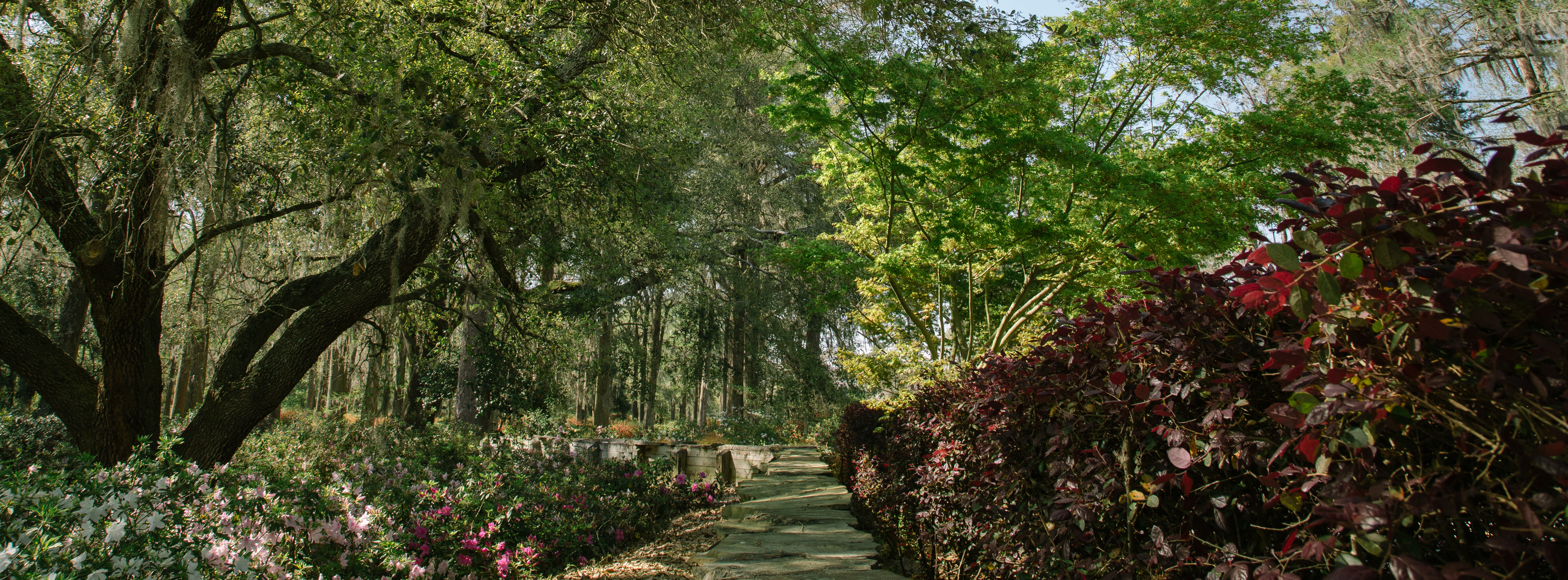garden path