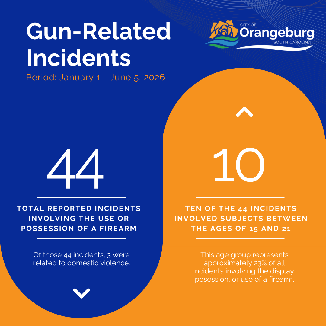 Gun Related Incidents Infographic